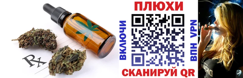 Cannafood конопля  Купить где  Новозыбков 