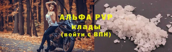 шишки Инсар