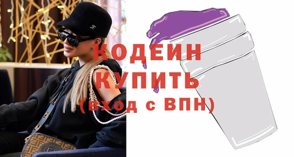 шишки Инсар
