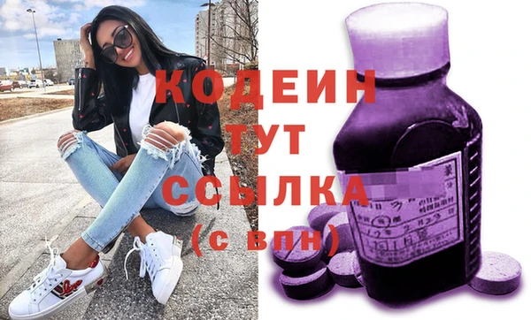 шишки Инсар