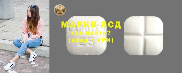 шишки Инсар