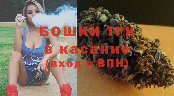 шишки Инсар