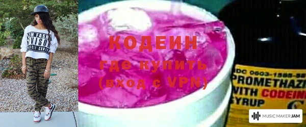 шишки Инсар