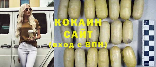 шишки Инсар