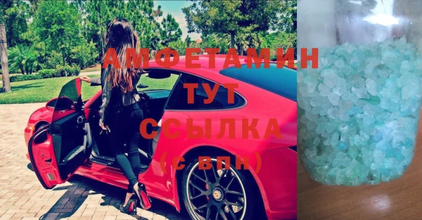 шишки Инсар