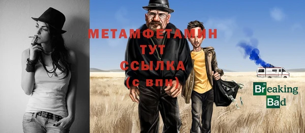 шишки Инсар