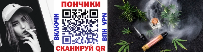 Купить закладки  Новозыбков  Каннабис Ganja 